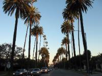 Berverly Hills, Rodeo Drive